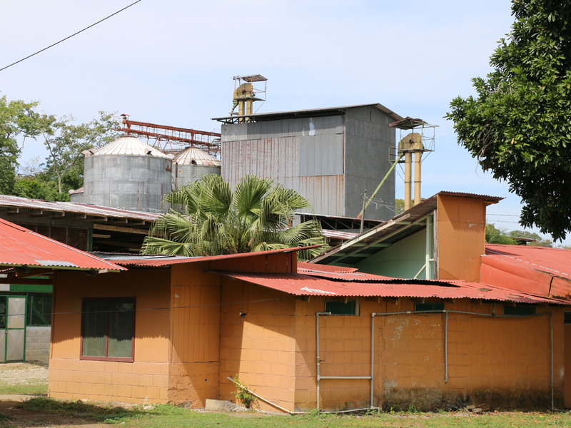 10 Bed Land For Sale in Zancudo Costa Rica